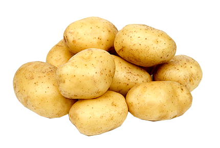Линия производства сушеного картофеля и овощей